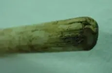 Stick thing.webp