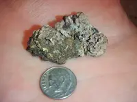 nug1.webp