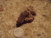 nug2.webp