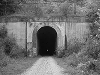 l_6407c0f6cc2f4e608d5ec7f3c682bf69.webp