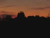 sunset#2.webp
