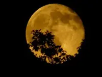 Sept. Moonrise.webp