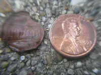 9-20-09 Strange 004.webp