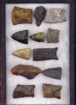 my fossils 109.webp