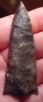 my fossils 195.webp