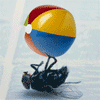 fly_ball.gif