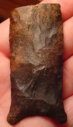 my fossils 185.webp