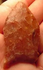 my fossils 192.webp