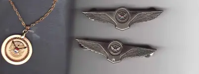 wings.webp