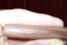 Picture 003.webp