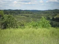 RES01366.webp
