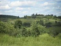 RES01367.webp