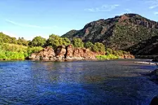 salidaa.webp