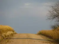 110809 158.webp