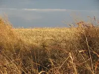 110809 168.webp