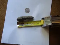 DSCF1091.webp