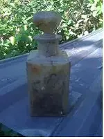 bottle resized.webp