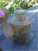 pic of bottle resized.webp