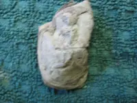 Picture 001.webp