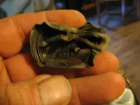 Picture 013.webp