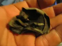 Picture 014.webp