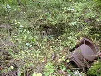 first homestead of the fall 003.webp