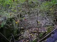 first homestead of the fall 008.webp
