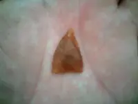 0923091319[1].webp