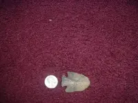 DSCF1048.webp