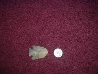 DSCF1053.webp