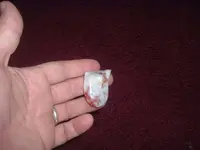 DSCF1054.webp