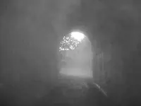 l_2c13fa7cff4d4efe867c9641656142bf.webp