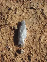 CIMG1029.webp