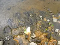black sand 008.webp