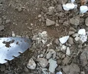 1117200901.webp