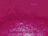 032.webp