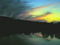 wild sunset.webp