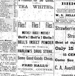 bells insect.webp