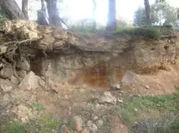 S7300960.webp