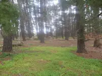 S7300952.webp
