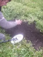 ROT01976.webp