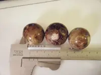 DSCF1365.webp