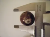 DSCF1364.webp