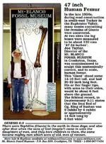226873_f520.webp