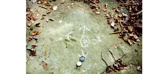 Compass Rock Wolfe.webp