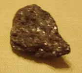 fools gold3.webp