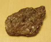 fools gold2.webp