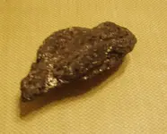 fools gold1.webp