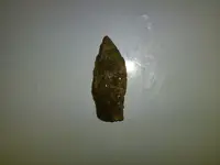 isyouaarruhhead1.webp