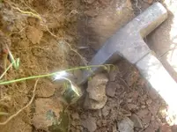 S7300994.webp